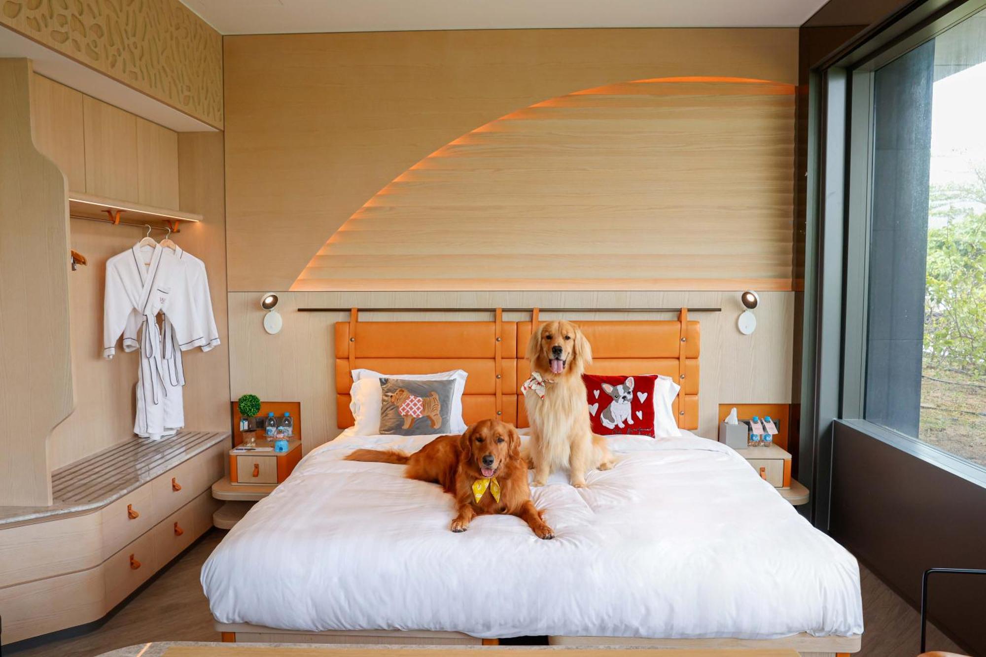 Wm Hotel Hong Kong, Vignette Collection Екстериор снимка